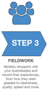 SeeLevel HX Process Infographic_Fieldwork